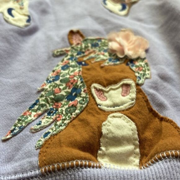 mini Boden pullover sweatshirt sz 4-5Y - Picture 3 of 6
